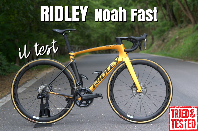 RIDLEY Noah Fast